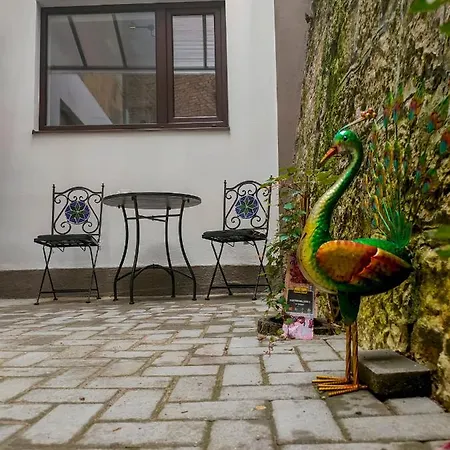 22 Loop Apartament