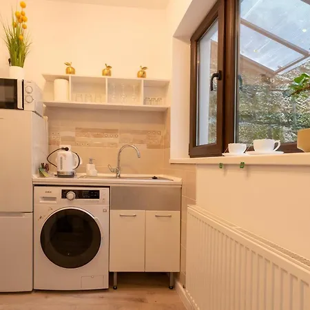 22 Loop * 布拉索夫