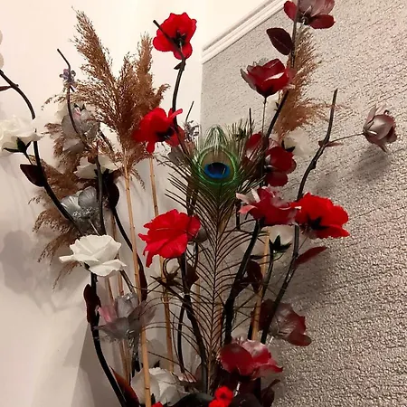 22 Loop Apartament