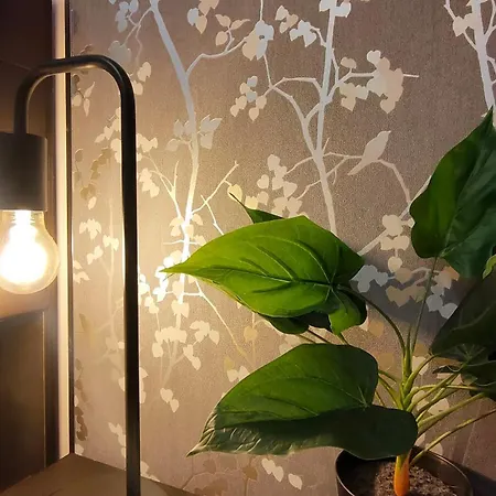 22 Loop Apartament Brașov