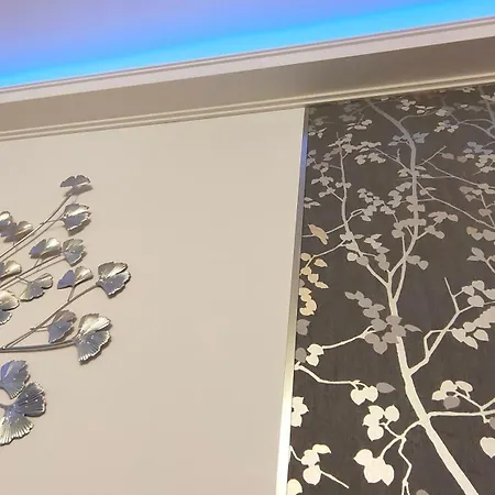 22 Loop 布拉索夫