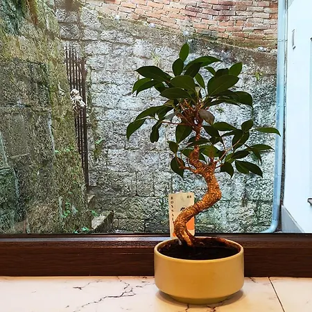 22 Loop Apartment