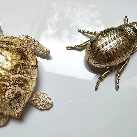 22 Loop * 布拉索夫