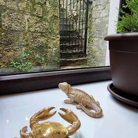 22 Loop * 布拉索夫