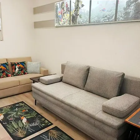 22 Loop Apartment Brasov
