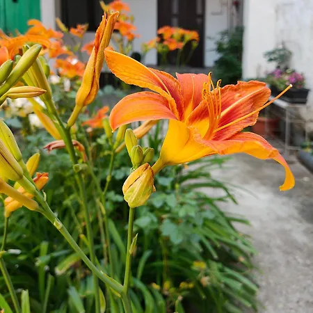 22 Loop Apartment