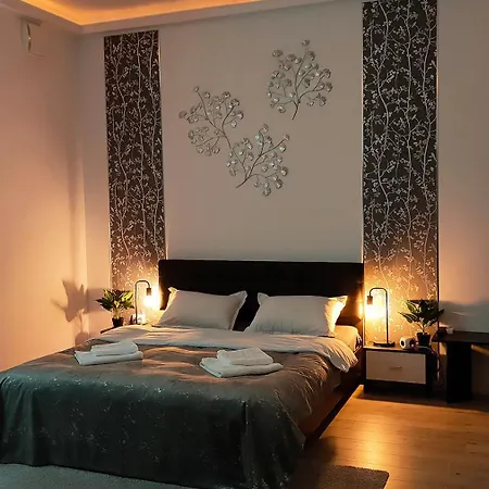 22 Loop Apartment Brasov
