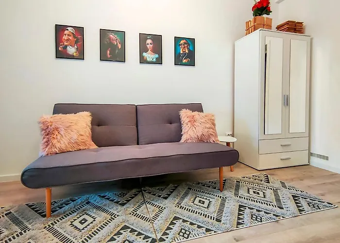 22 Loop Apartment Brasov