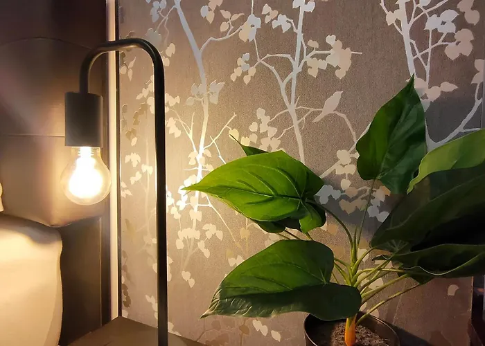 22 Loop Apartment Brasov